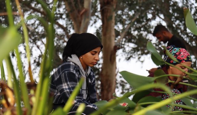 Hatay'da istilacı su sümbülleri kadınların elinde gelir kaynağına dönüşüyor