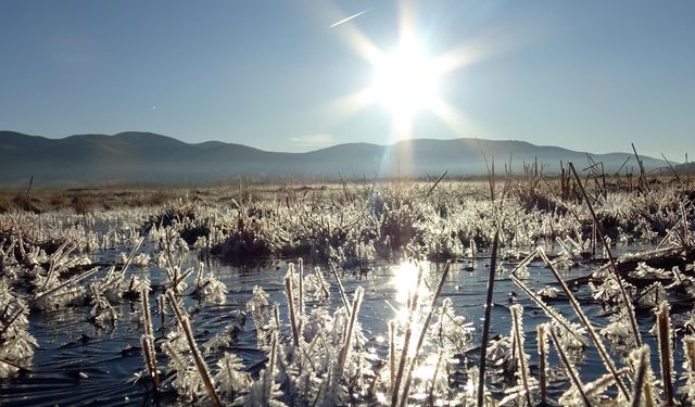 Kars'ta soğuk hava yaşamı olumsuz etkiledi