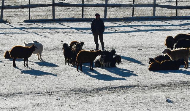 Kars'ta soğuk havanın etkisiyle buzlanma ve kırağı oluştu