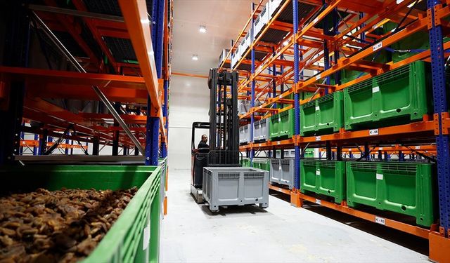 Malatya kayısısı lisanslı depo sayesinde dünya pazarındaki yerini korudu