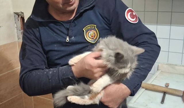 Malatya'da havalandırma boşluğuna sıkışan kediyi itfaiye kurtardı