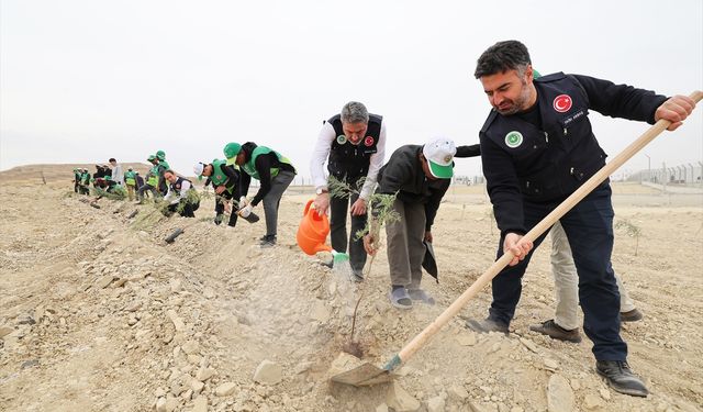 Malatya'nın ilçelerinde fidanlar toprakla buluştu