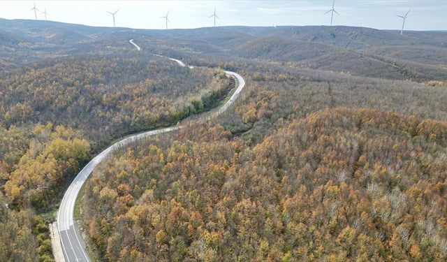 Tekirdağ'da ormanlar sonbahar renklerine büründü