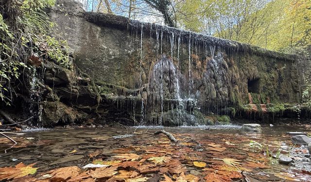 Tekirdağ'da sonbahar renklerine bürünen ormanlar doğa tutkunlarını bekliyor