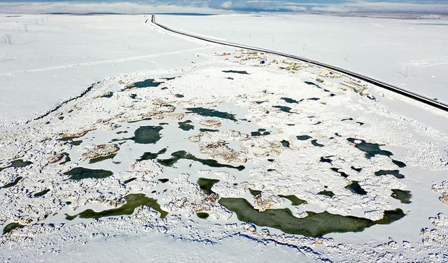 Afrika'dan Rusya'ya göç eden kuşları ağırlayan Çalı Gölü dondu