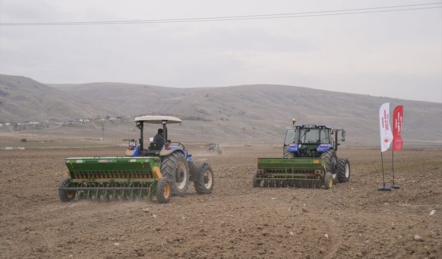 Çankırı'da çiftçiler 800 hektarda kuraklığa dayanıklı sertifikalı tohum deniyor