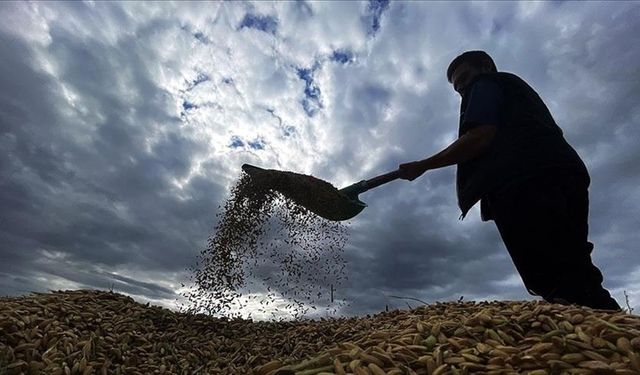 Çiftçilere yaklaşık 1,7 milyar lira tarımsal destekleme ödemesi bugün yapılacak