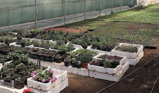 Fide sektörüne yönelik rekabet soruşturması başlatıldı