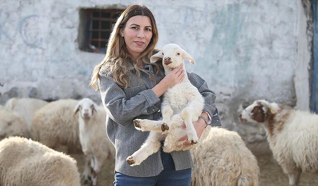 İstanbul'dan köyüne dönüp hayvancılığa başlayan kadın 3 yılda sürüsünü 4'e katladı