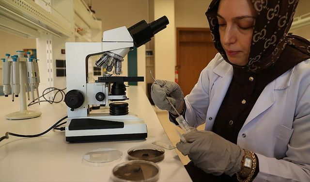 Organik içerikli solüsyon, tarımsal ürünlerin kalitesini artırıp raf ömrünü uzatıyor