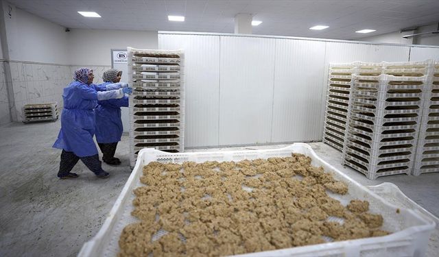 Osmanlı dönemi usulüyle yapılan tescilli Malatya tarhanası ihracata hazırlanıyor