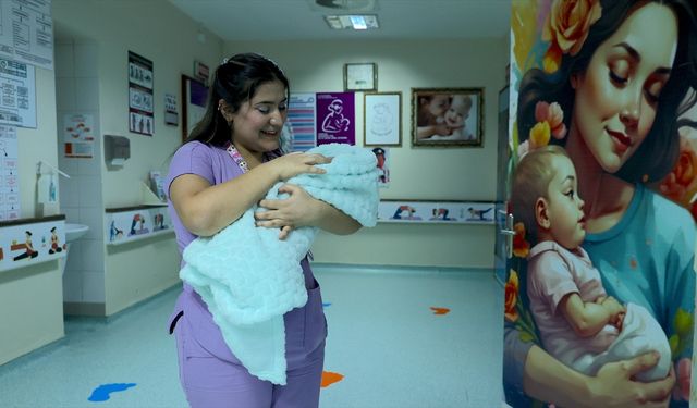 Sağlık altyapısı güçlendirilen Hakkari'de anne ve bebek ölüm oranları düştü