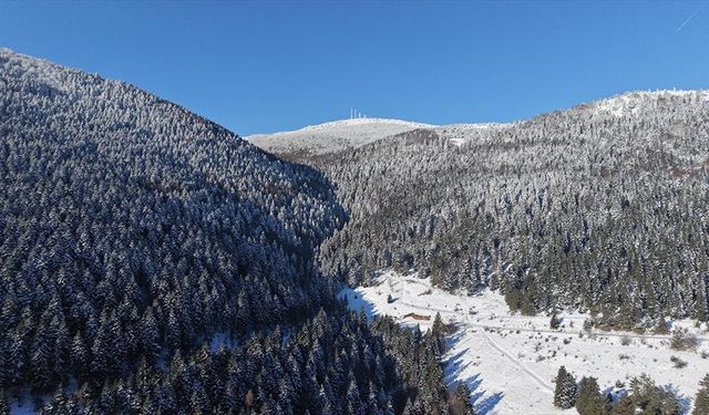 Samsun'da kar altındaki ormanlar dronla görüntülendi