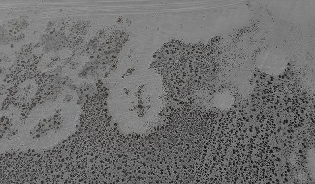 Tamamen kuruyan Seyfe Gölü Kuş Cenneti sessizliğe büründü