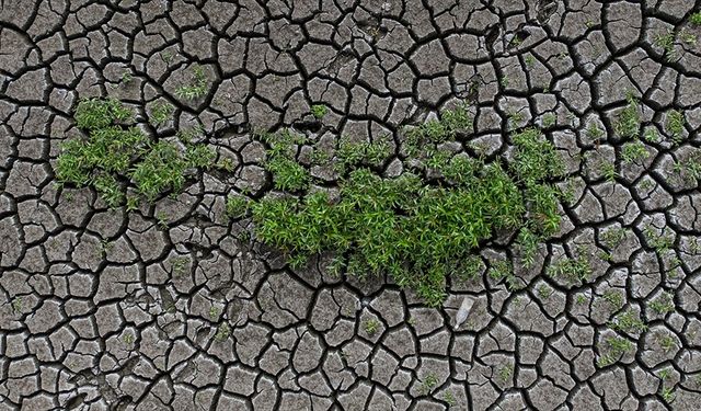 Toprak ile su kaybı, gıdayı ve geleceği doğrudan tehdit ediyor