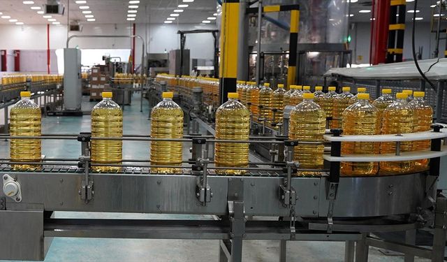 Türkiye'nin ayçiçek yağı ihracatı 1 milyar dolara yaklaştı