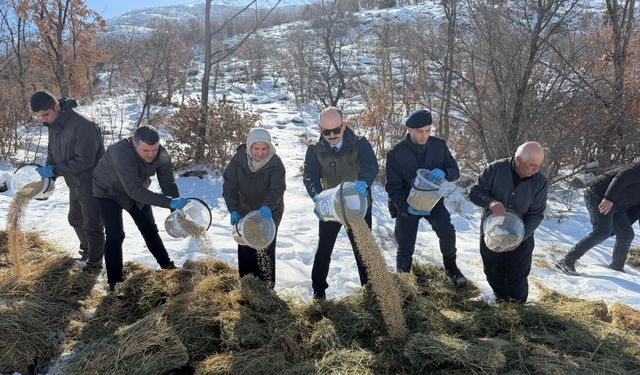 Doğanşehir'de Yaban Hayvanları İçin Doğaya Yem Bırakıldı