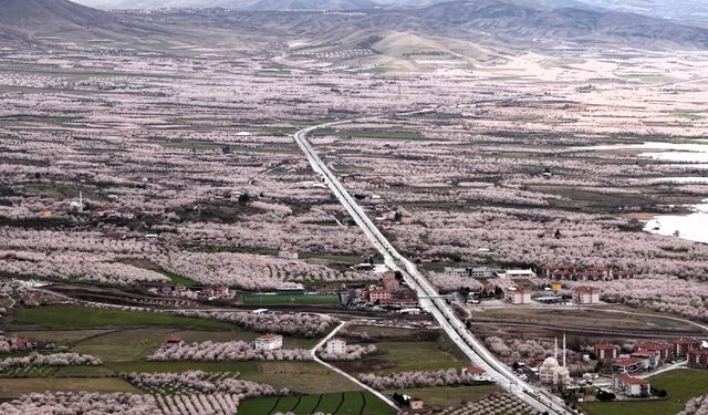 Kayısı Cenneti Malatya Beyaza Büründü: Çiçekler Kartpostallık Görüntüler Oluşturdu