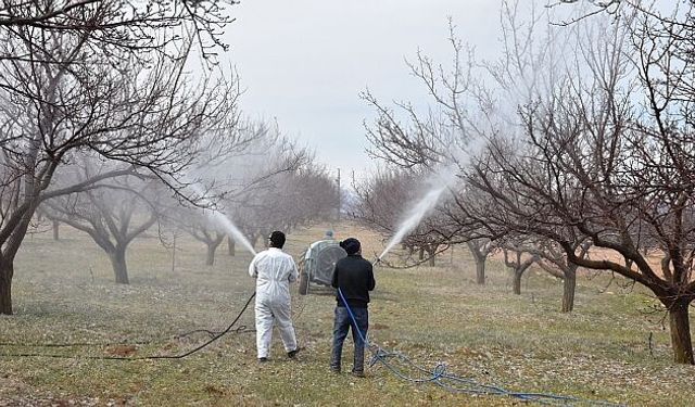 Malatya'da Kayısı Üreticilerine İlkbahar Uyarısı