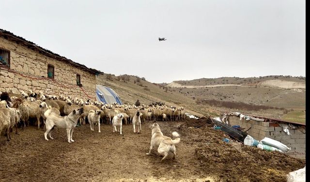Yazıhan'da Kangal'lardan Drone'a Geçit Yok