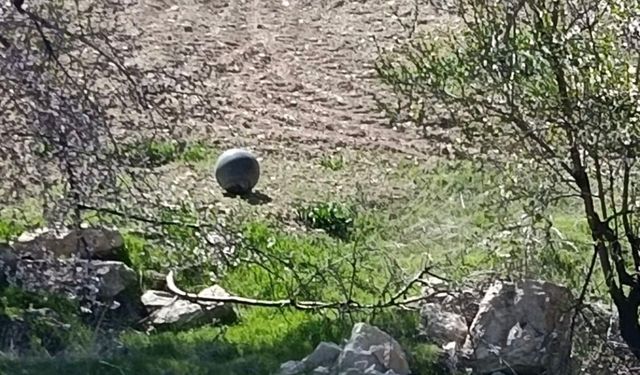 Baskil'de Bulunan Şüpheli Cisim Paniğe Neden Oldu