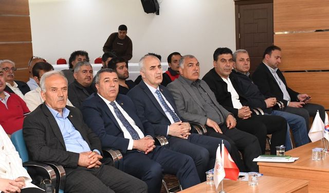 Kayısıda Don ve Kalıntı Kıskacı: İhracat İçin Kritik Uyarılar