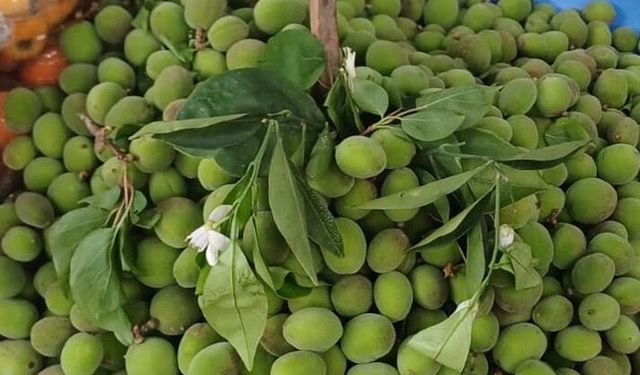 Malatya'da Çağla Tezgâhlarda, Fiyatlar 200 TL'yi Gördü