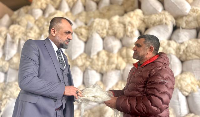 Malatya'da Yünler Ekonomiye Kazandırılıyor
