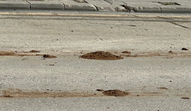 İnönü Caddesi'nde Çamur Tepkisi