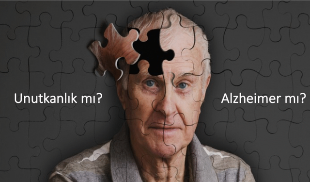 Her Unutkanlık Alzheimer Değil: Nörolojik mi, Psikiyatrik mi? İşte Ayırt Etmenin Yolları