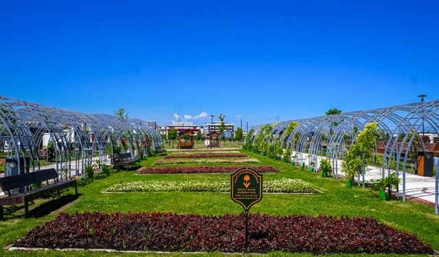 Malatya'da Parklar ve Kavşaklar Çiçeklerle Süslendi