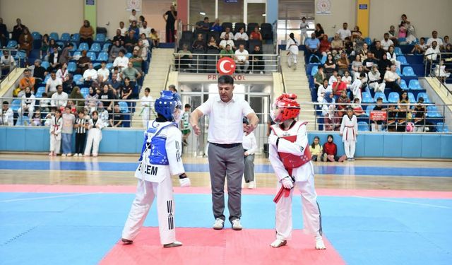 '15 Temmuz Şehitler Haftası' Tekvando Minikler Şampiyonası Nefes Kesti'