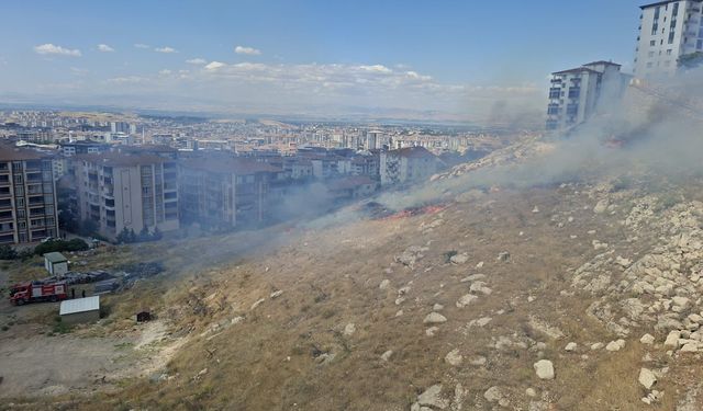 Çöşnük'te Ot Yangını Korkuttu