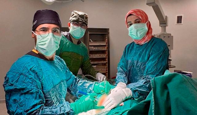 Doğanşehir Devlet Hastanesi'nde Bir İlk: İki Özellikli Ameliyat Başarıyla Yapıldı