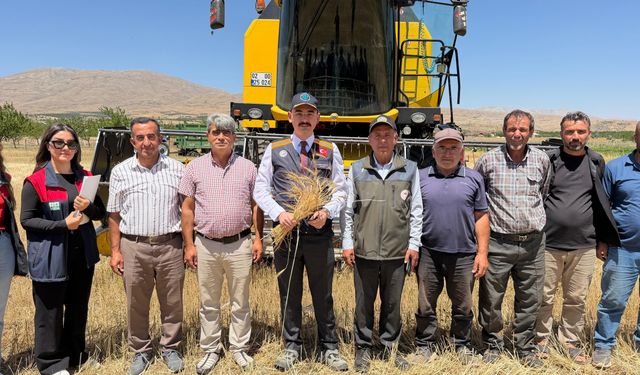 Kaymakam Sungur, Buğday Hasadına Katıldı, Anız Yangınlarına Karşı Uyardı