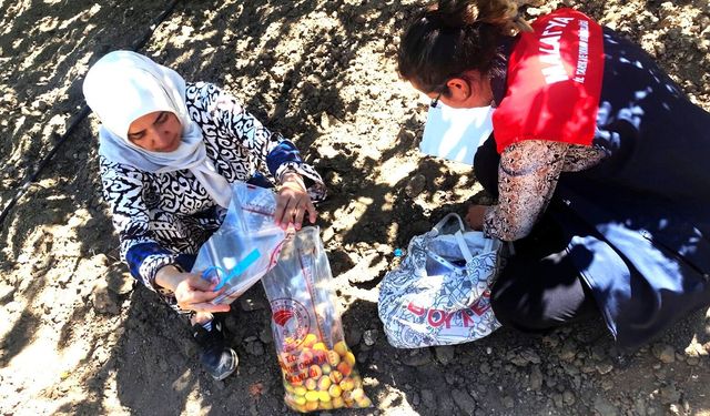 Malatya'da Kayısıda Pestisit Denetimi: 16 Üreticiye Hasat Geciktirme Tedbiri