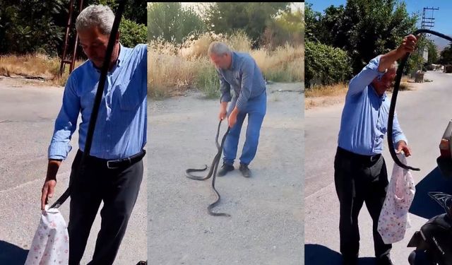 Malatya'nın 'Yılan Savar' Muhtarı Bu Kez İki Dev Kara Yılanı Yakaladı