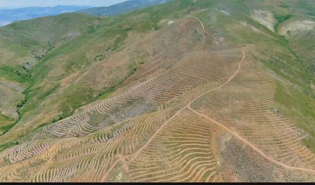 Pütürge'de 400 Hektarlık Ağaçlandırma Çalışması: Yeşil Vatan Büyüyor