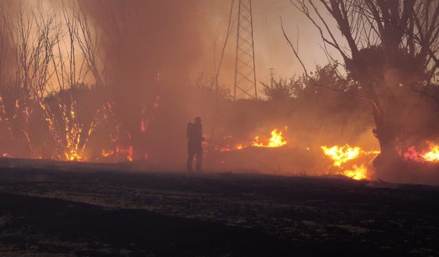 Tohma Mahallesi'nde Anız Yangını Korkuttu