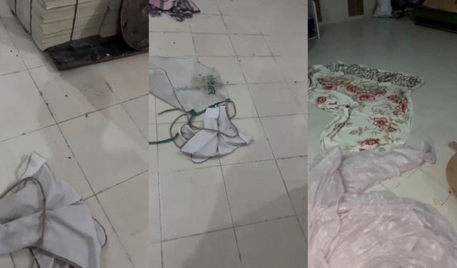 Vatandaş Görüntüledi: Fırında Böcek Var İddiası