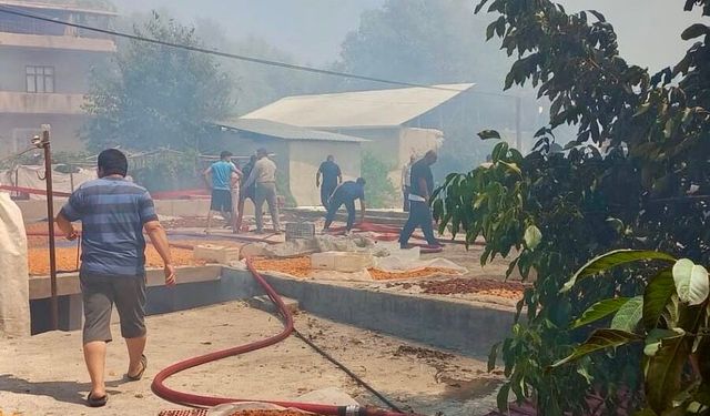 Darende'de Büyük Yangın: Vali Yavuz 'Tüm İmkânlarımız Seferber Edildi'