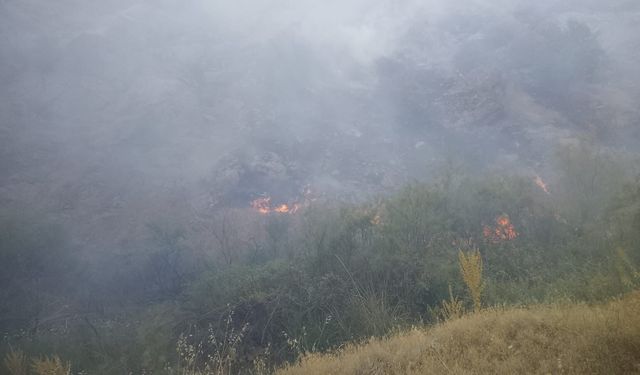Pütürge'deki Yangına 20 Araç ve 55 Personelle Müdahale
