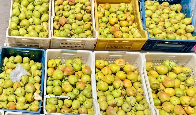 Kürecik'in Bal Armudu Tezgâhlarda Yerini Aldı