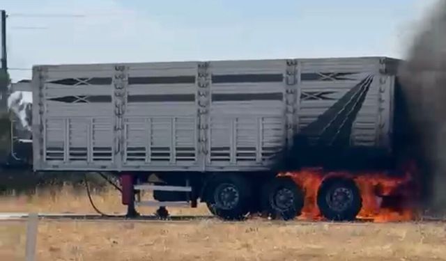 Seyir Halindeki Tırın Dorsesi Alev Aldı