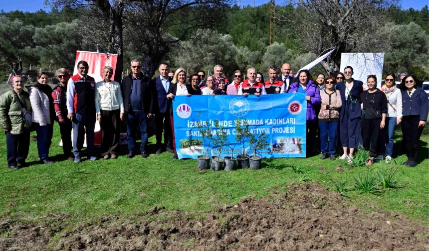 Yarımada kadınları sakız ağacına can katıyor