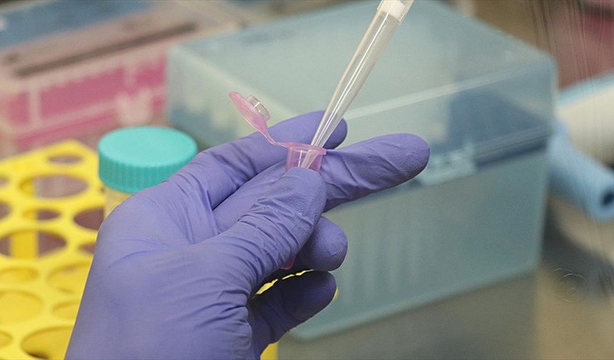ALS hastalığında genetik temelli yeni tedavi stratejisi üzerinde çalışılıyor