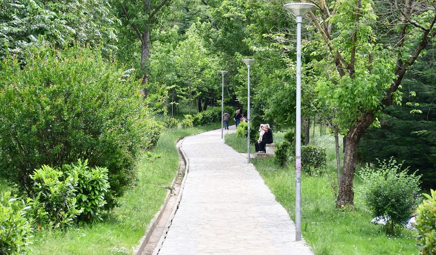 Arnavutluk'taki Büyük Göl Parkı "başkent Tiran'ın akciğeri" olarak nitelendiriliyor