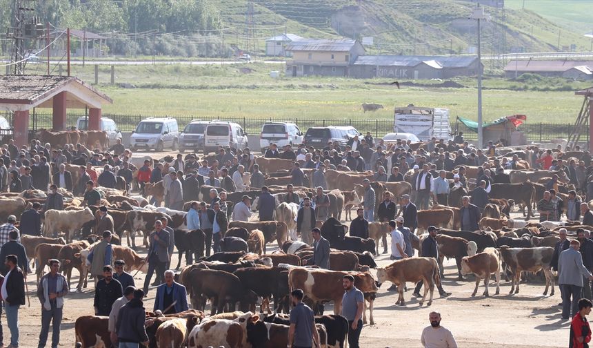 Doğu Anadolu'dan batıya yaklaşık 80 bin kurbanlık gönderildi