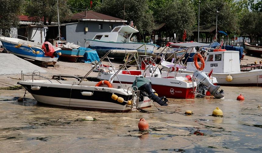 İzmit Körfezi'nde oluşan köpüksü tabakanın temizlenmesi için çalışma başlatıldı