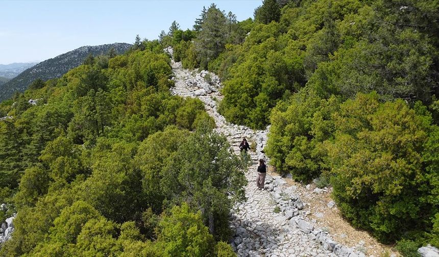 Tarihi kervan ve göç yolu, geçmişin izini süren doğaseverlerin yeni rotası oldu